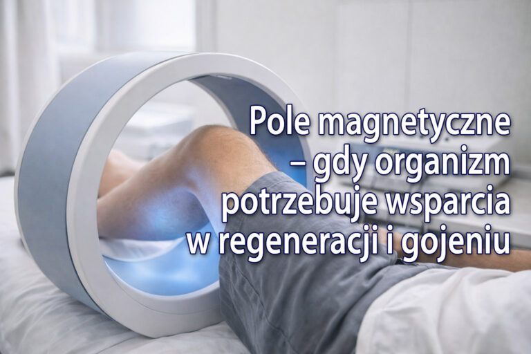 pole magnetyczne